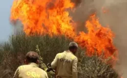 Karabük Üniversitesi’nden Orman Yangınlarını Önleme Politikası