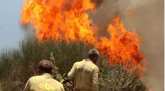 Karabük Üniversitesi’nden Orman Yangınlarını Önleme Politikası